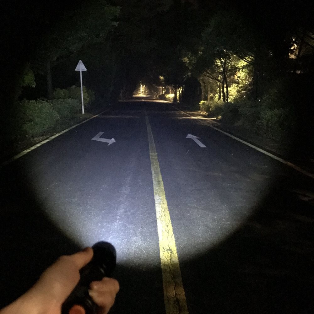 Zoom 2in-1 White+Blue Light LE - Outdoor Power Not Working 评论和价格