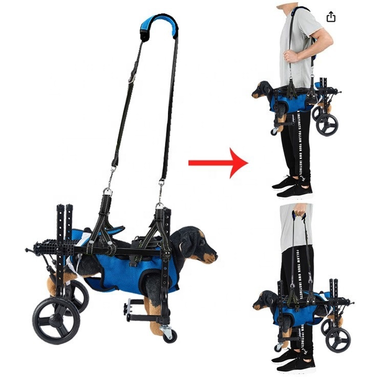 Small Dog Rehabilitation Train - Outdoor Power Wheels 评论和价格