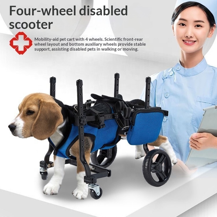 Small Dog Rehabilitation Train - Outdoor Power Wheels 评论和价格