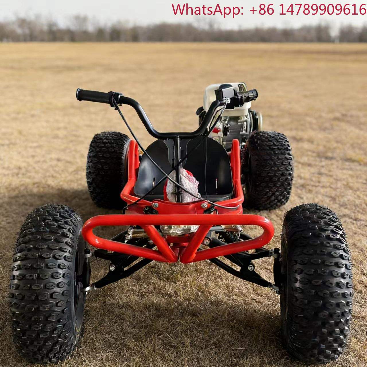 212cc 4-Stroke Gas Powered Go- - Outdoor Power Wheels 评论和价格