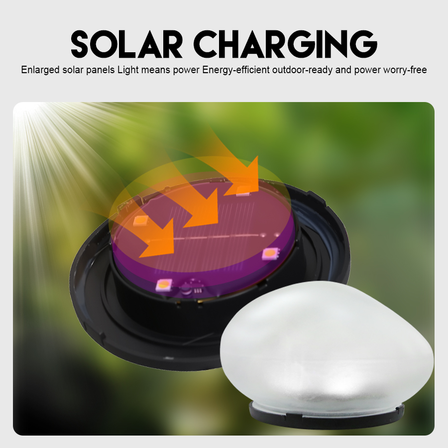 Solar Decorative Lamp Frosted  - Outdoor Power Outlet Solar 评论和价格